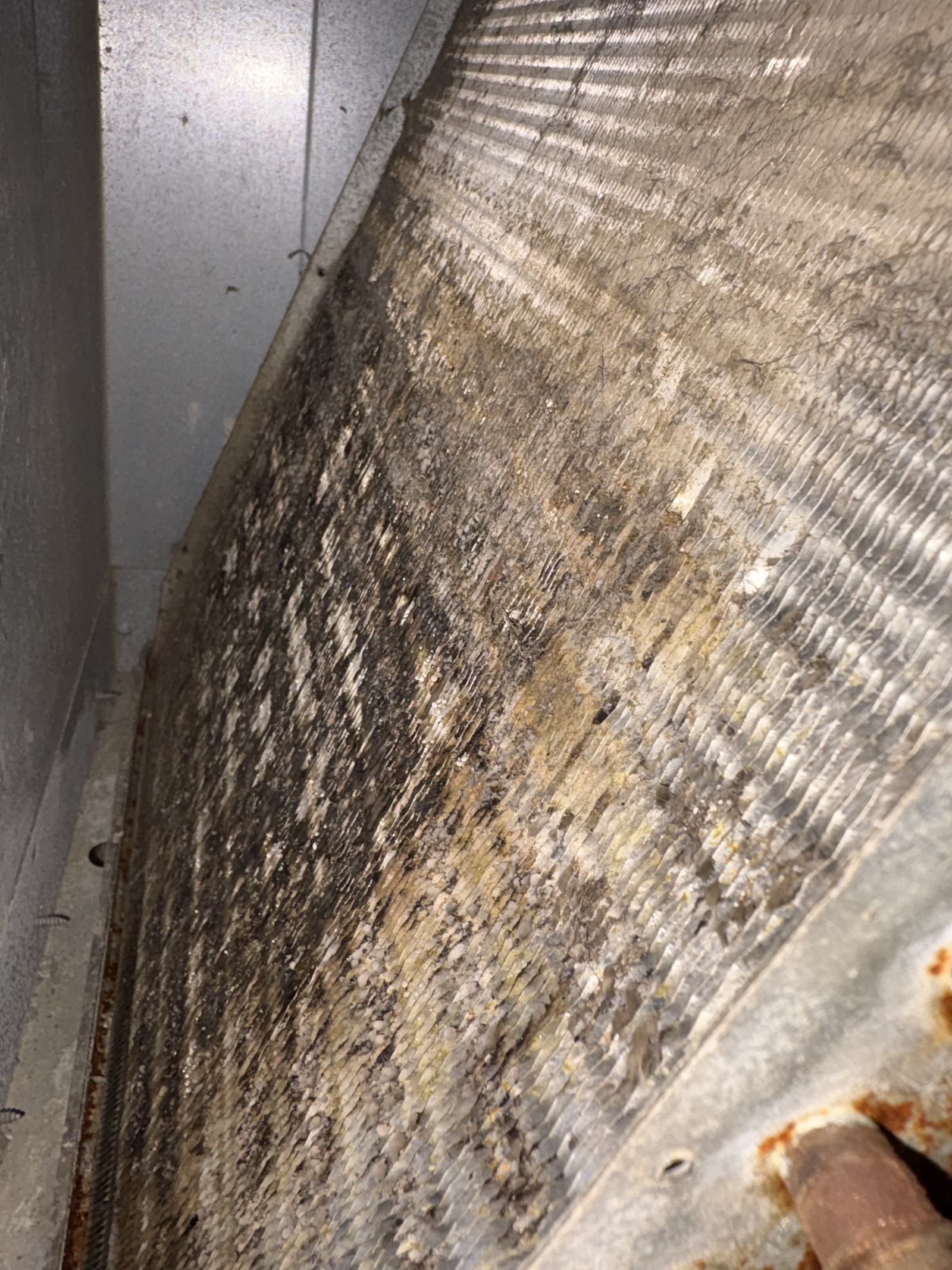 Evaporator coil before our deep cleaning