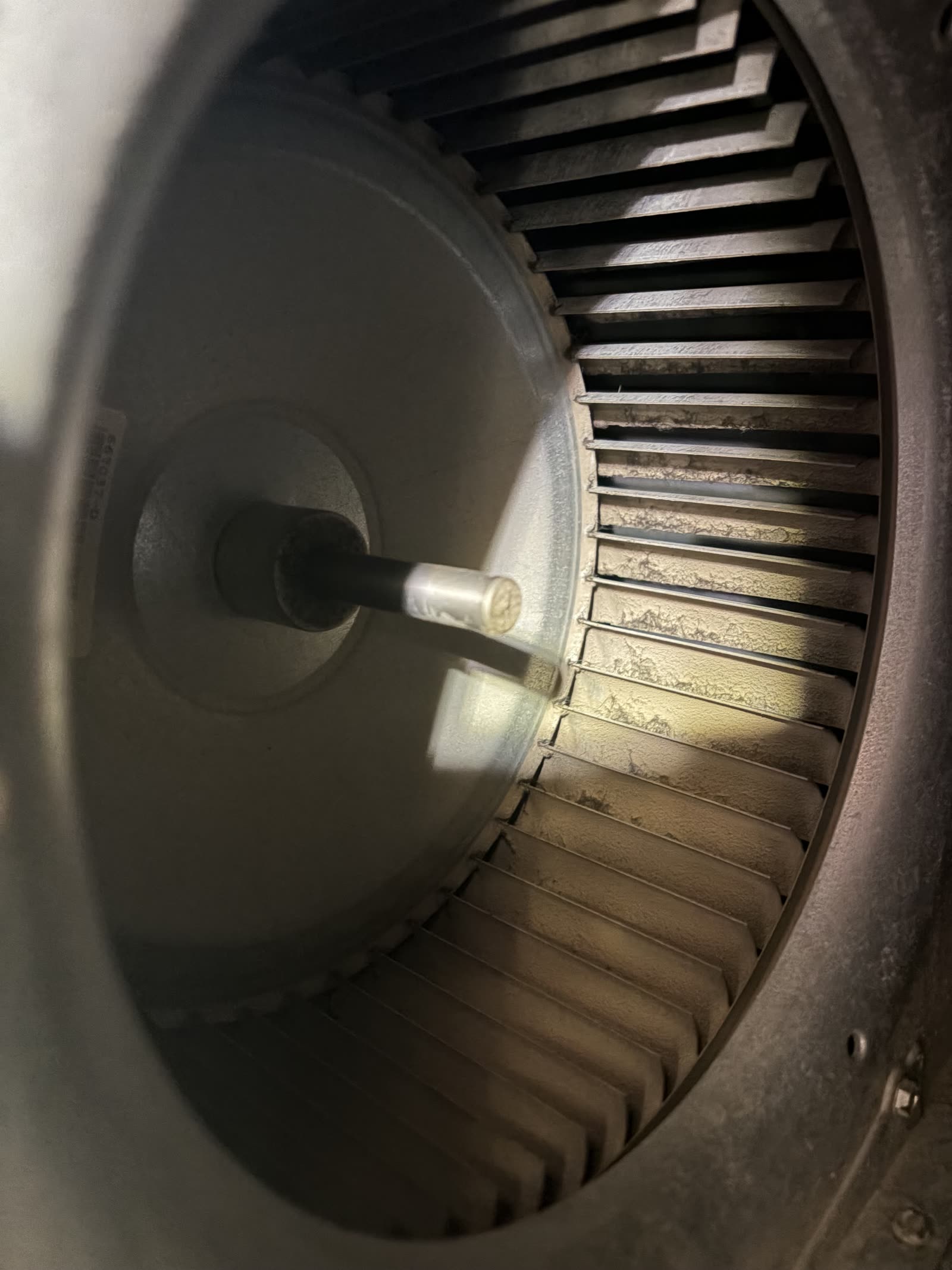 Same blower after a full cleaning